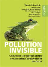 Pollution invisible